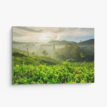 Quadro su tela mattina dorata sulle piantagioni di tè a Munnar • Wallissimo®