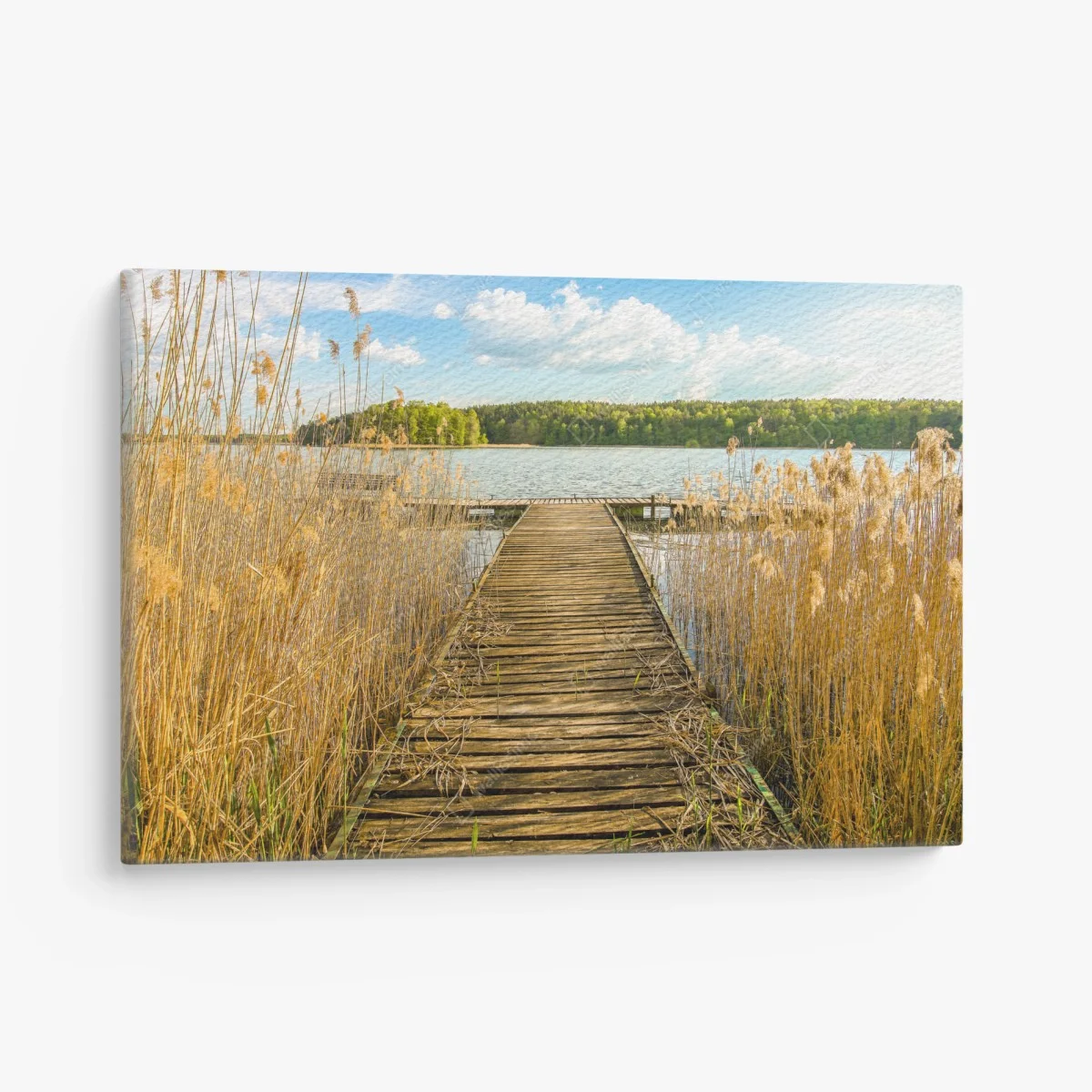 Quadro su tela molo tra le canne sul lago • Wallissimo® Quadro su tela molo tra le canne sul lago • Wallissimo®