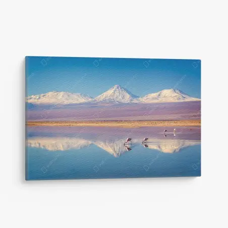 Quadro su tela riflessi del Licancabur sulle acque della Laguna Chaxa • Wallissimo®