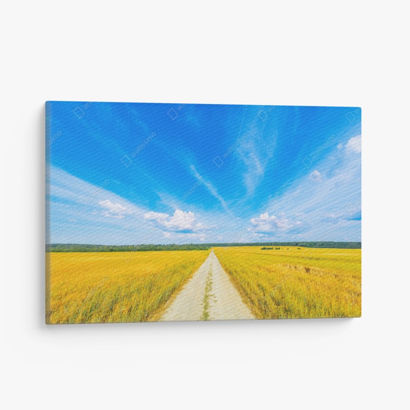 Quadro su tela strada nel campo dorato sotto un cielo infinito