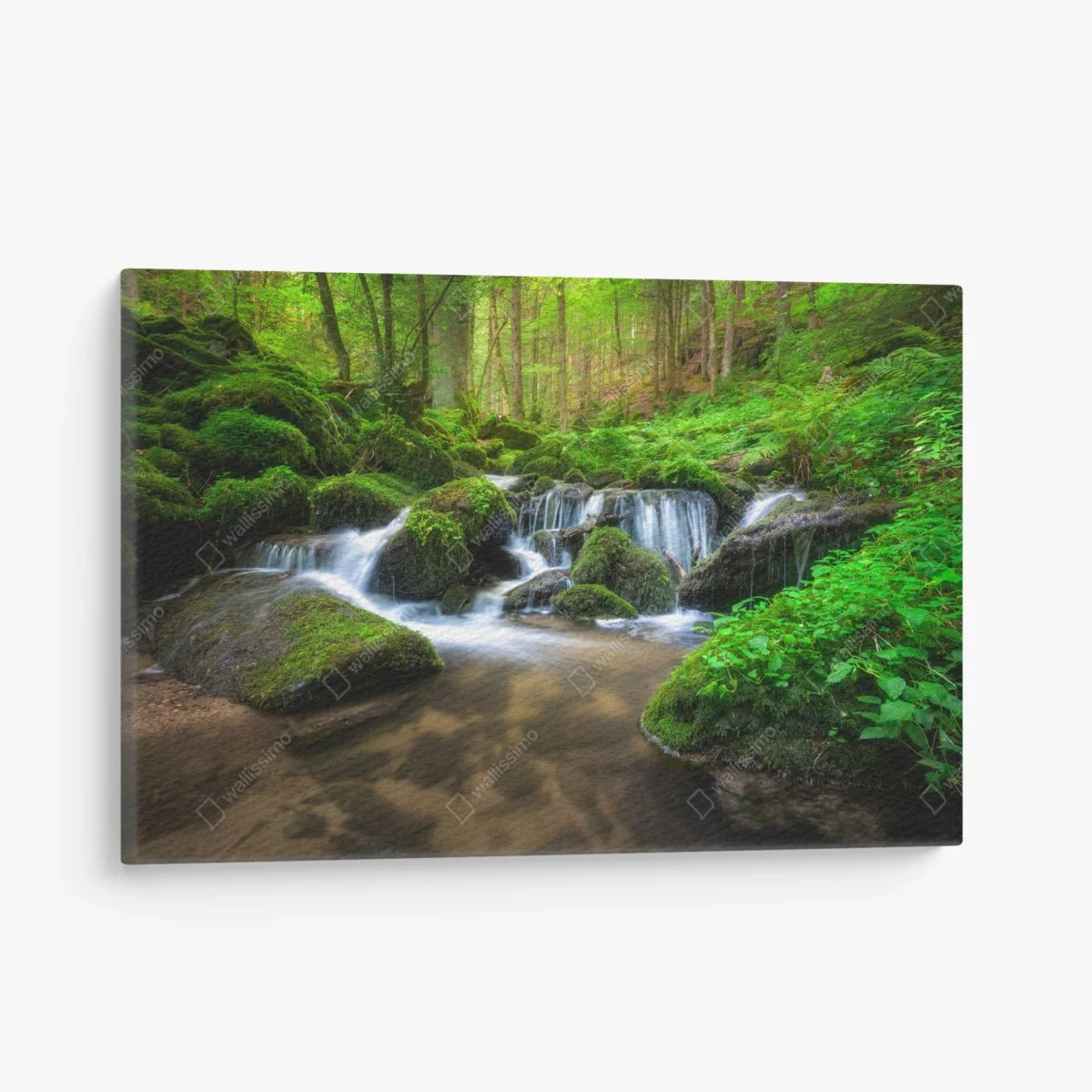 Quadro su tela cascata nel bosco di muschio • Wallissimo® Quadro su tela cascata nel bosco di muschio • Wallissimo®