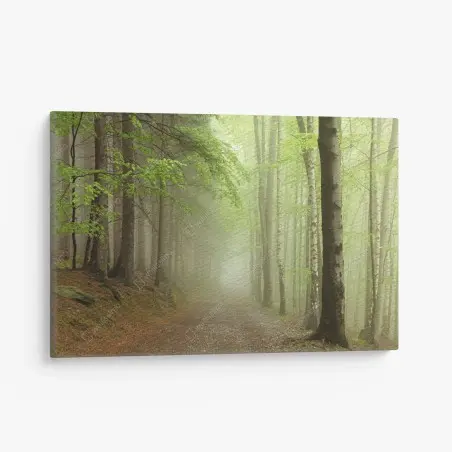 Quadro su tela sentiero nella foresta avvolto dalla nebbia • Wallissimo®