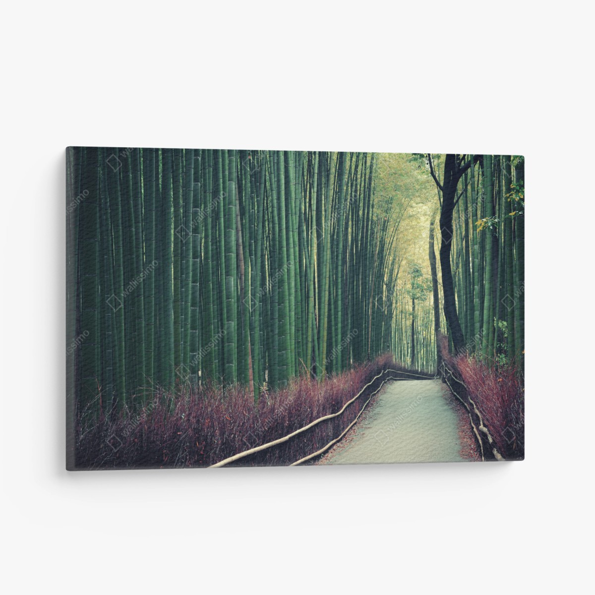 Quadro su tela sentiero sereno nel bosco di bambù di Arashiyama • Wallissimo®