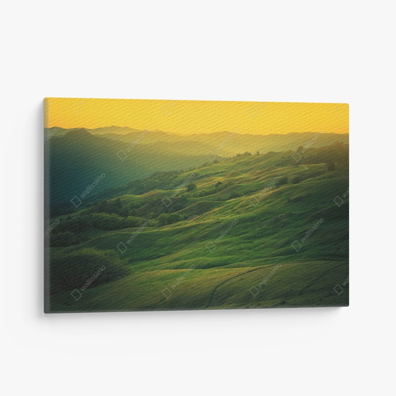Quadro su tela colline dorate della California