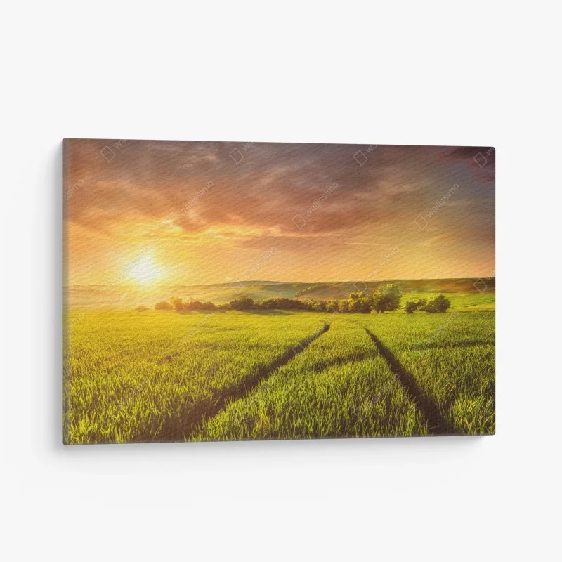 Quadro su tela tramonto dorato sulle colline verdi