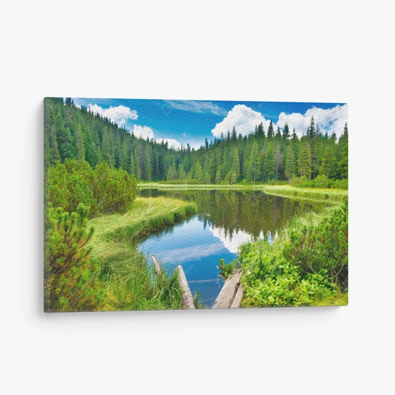 Quadro su tela oasi di riflessi nel bosco