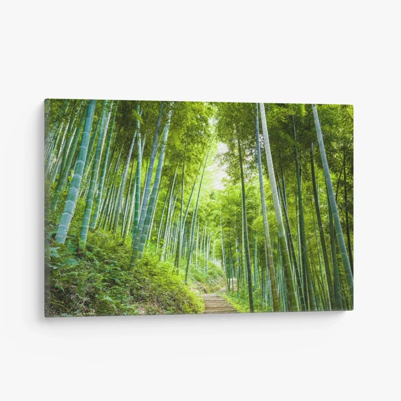 Quadro su tela sentiero incantato nella foresta di bambù