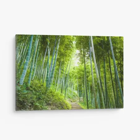 Quadro su tela sentiero incantato nella foresta di bambù • Wallissimo®