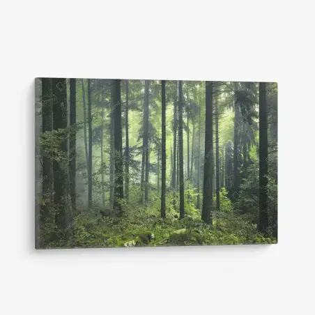 Quadro su tela foresta primaverile misteriosa • Wallissimo®