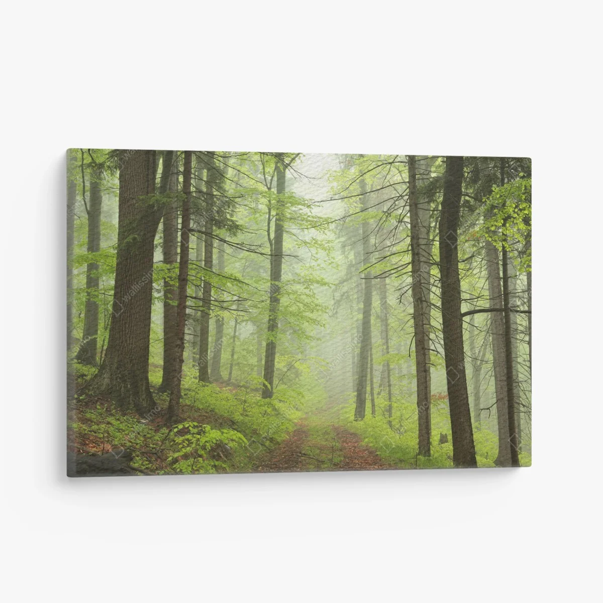 Quadro su tela foresta nebbiosa: sentiero tra gli alberi • Wallissimo® Quadro su tela foresta nebbiosa: sentiero tra gli alberi • Wallissimo®