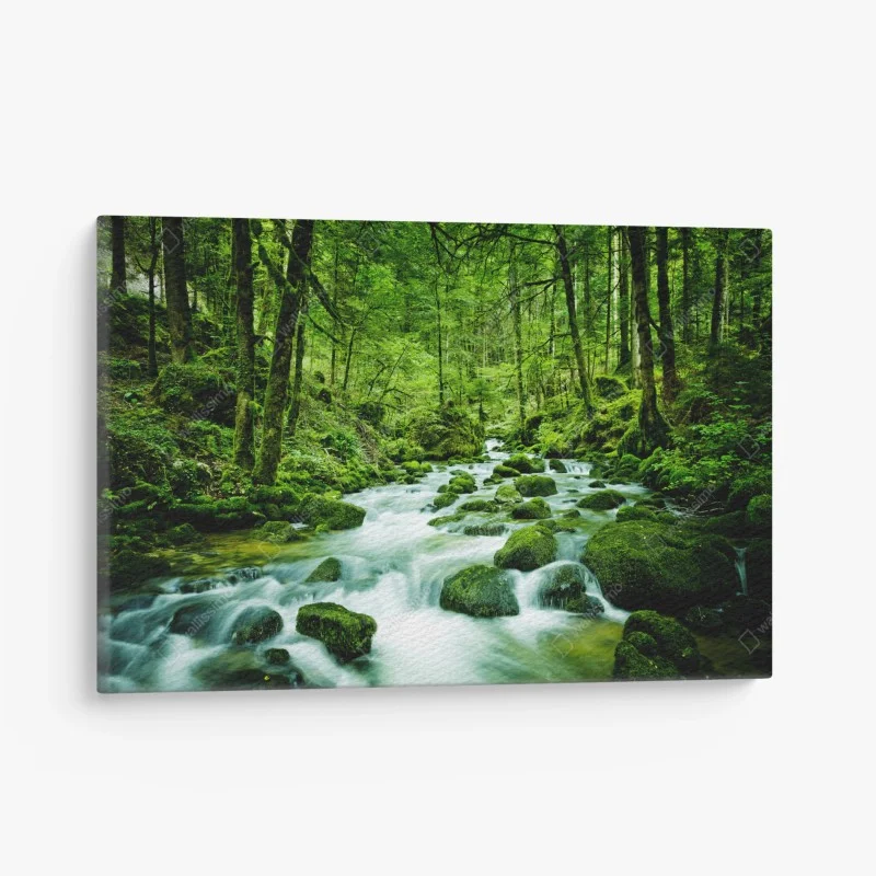 Quadro su tela ruscello smeraldo nella foresta