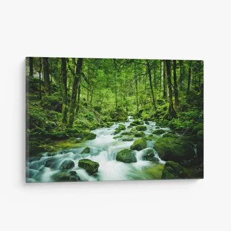 Quadro su tela ruscello smeraldo nella foresta • Wallissimo®