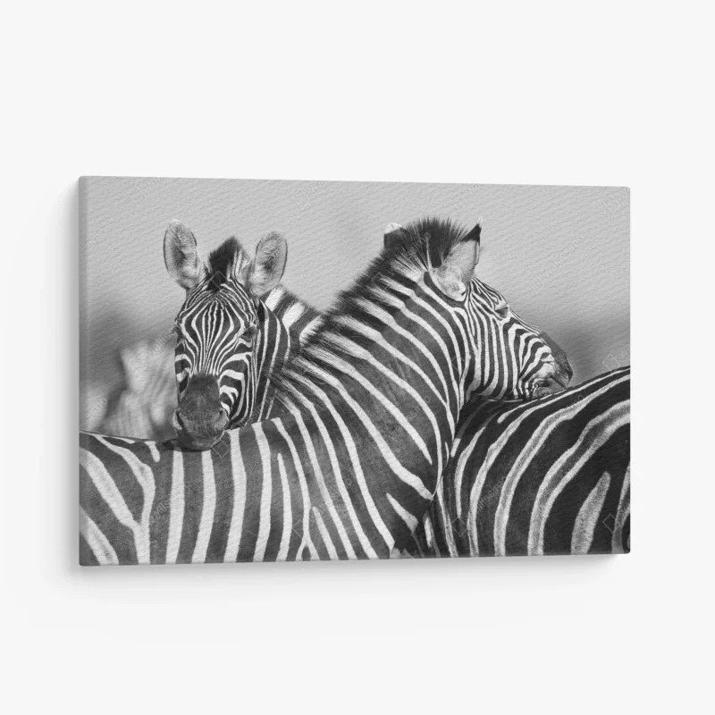 Quadro su tela eleganza a strisce in bianco e nero