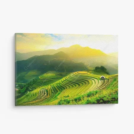 Quadro su tela risaie terrazzate all'alba • Wallissimo®