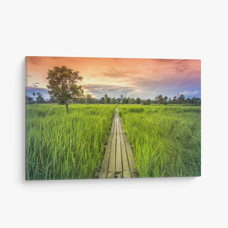 Quadro su tela passerella centenaria nei campi di riso a Khonburi