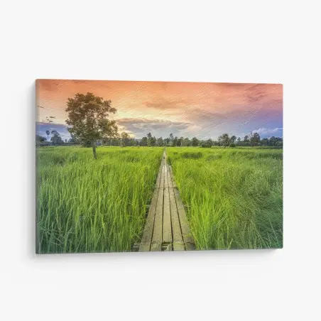 Quadro su tela passerella centenaria nei campi di riso a Khonburi • Wallissimo®