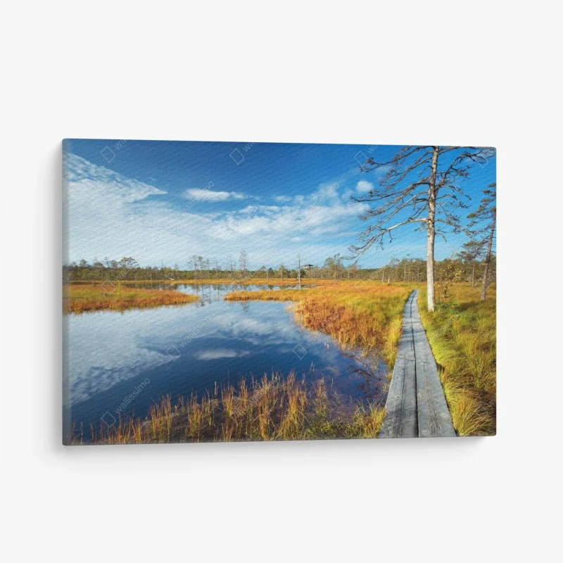 Quadro su tela passerella nella torbiera d'autunno