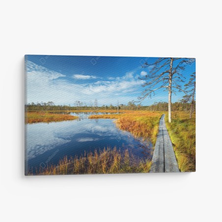 Quadro su tela passerella nella torbiera d'autunno • Wallissimo®
