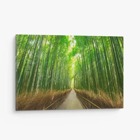 Quadro su tela viale di bambù ad Arashiyama, Kyoto • Wallissimo®