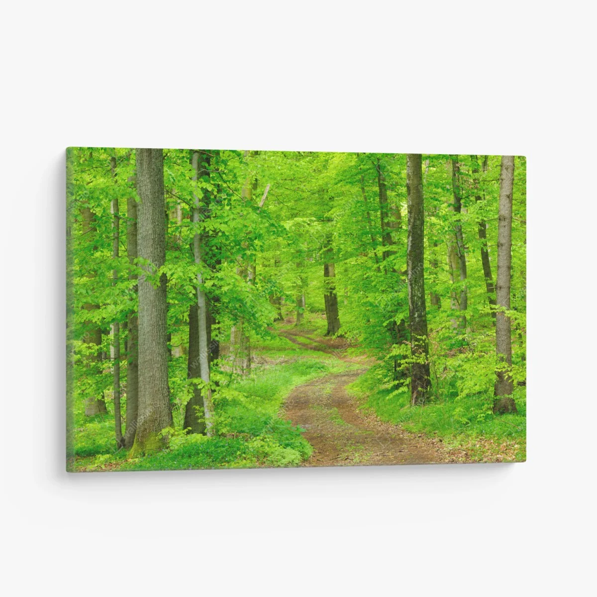 Quadro su tela sentiero nel bosco primaverile • Wallissimo® Quadro su tela sentiero nel bosco primaverile • Wallissimo®
