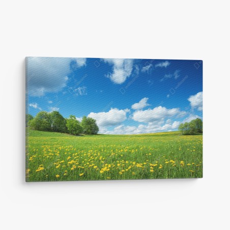 Quadro su tela campo fiorito sotto il cielo blu • Wallissimo®