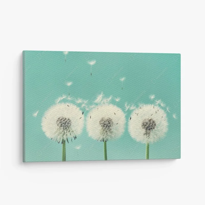 Quadro su tela soffioni e piume in volo su sfondo turchese