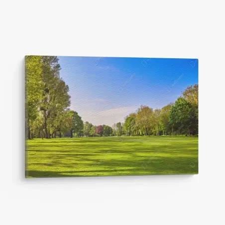 Quadro su tela parco soleggiato e prato verde • Wallissimo®