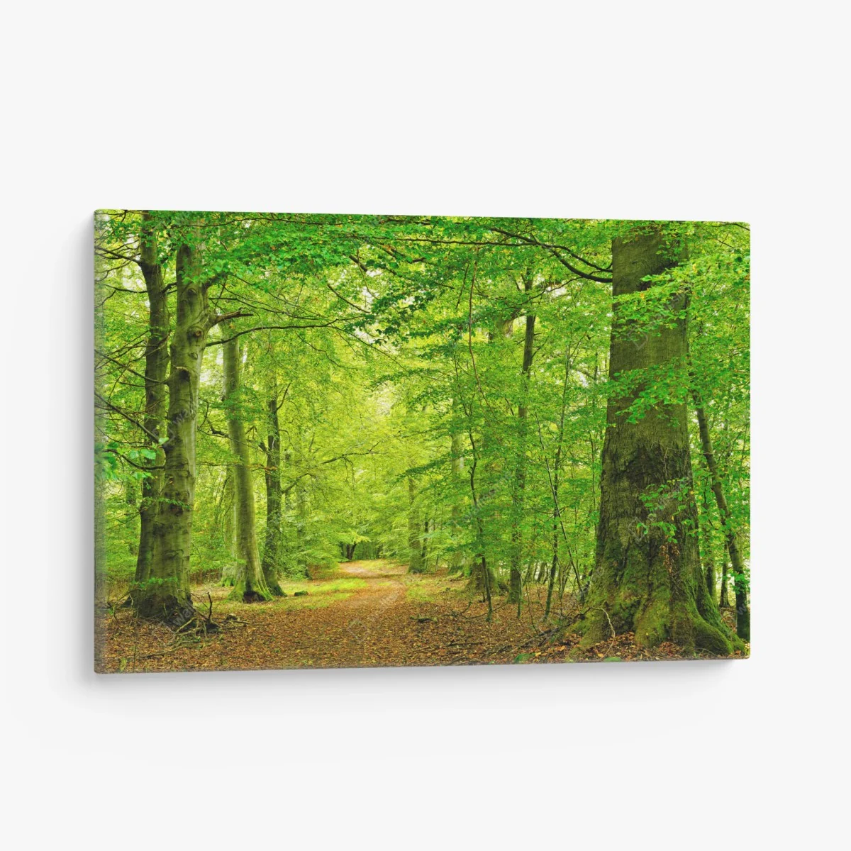 Quadro su tela sentiero nel bosco verde • Wallissimo® Quadro su tela sentiero nel bosco verde • Wallissimo®