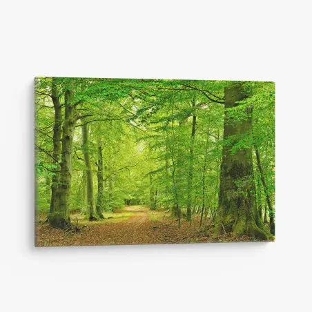 Quadro su tela sentiero nel bosco verde • Wallissimo®