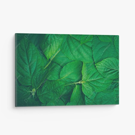 Quadro su tela oasi di foglie verdi • Wallissimo®
