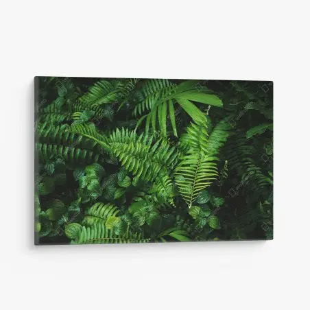 Quadro su tela parete verde di felci tropicali • Wallissimo®