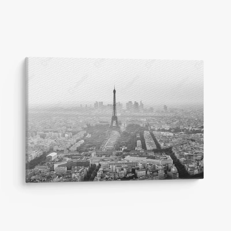 Quadro su tela vista aerea monocromatica di Parigi con la Torre Eiffel