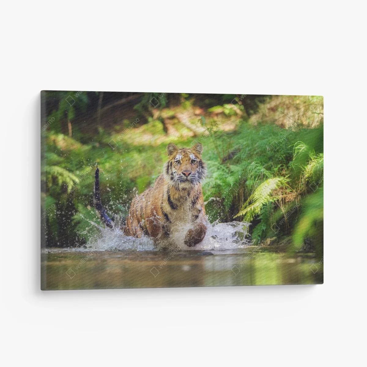 Quadro su tela tigre maestosa che attraversa l'acqua nella foresta • Wallissimo® Quadro su tela tigre maestosa che attraversa l'acqua nella foresta • Wallissimo®