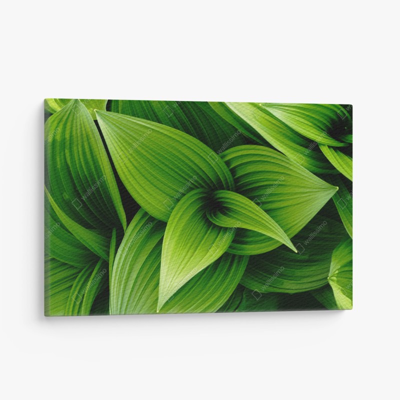 Quadro su tela motivo botanico di foglie verdi