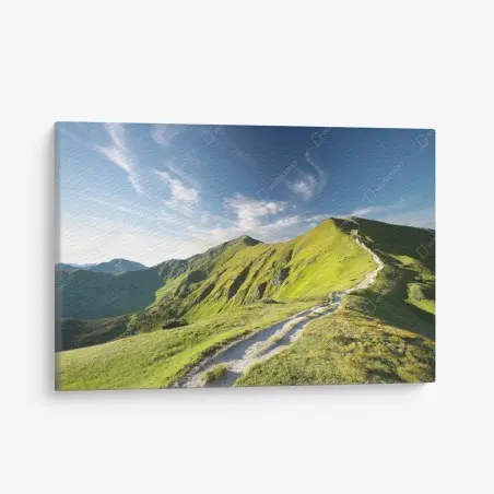 Quadro su tela sentiero verso la vetta in colline verdi • Wallissimo®