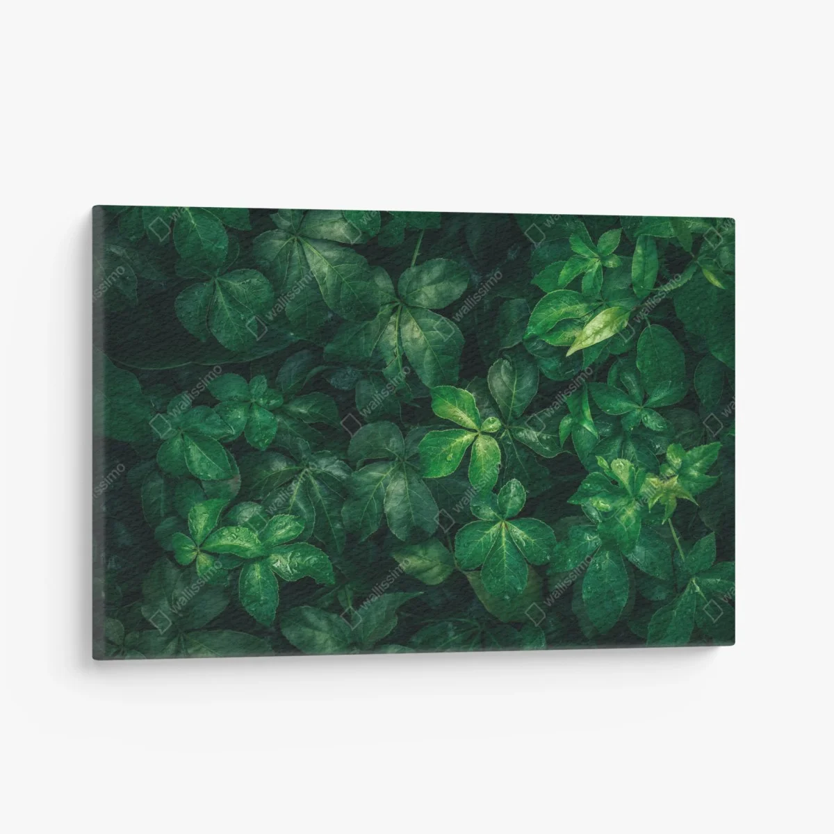Quadro su tela fogliame tropicale in verde profondo • Wallissimo® Quadro su tela fogliame tropicale in verde profondo • Wallissimo®