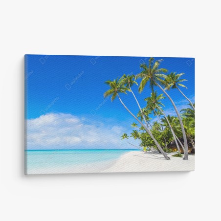 Quadro su tela paradiso tropicale con palme e mare turchese • Wallissimo®