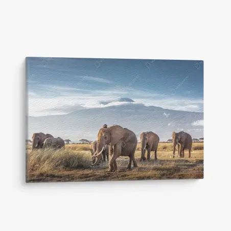 Quadro su tela mandria di elefanti nella savana di Amboseli davanti a monte Kilimanjaro • Wallissimo®