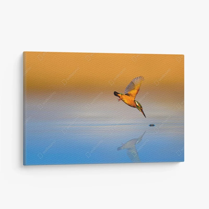 Quadro su tela martin pescatore in tuffo al tramonto