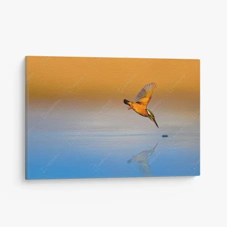 Quadro su tela martin pescatore in tuffo al tramonto • Wallissimo®