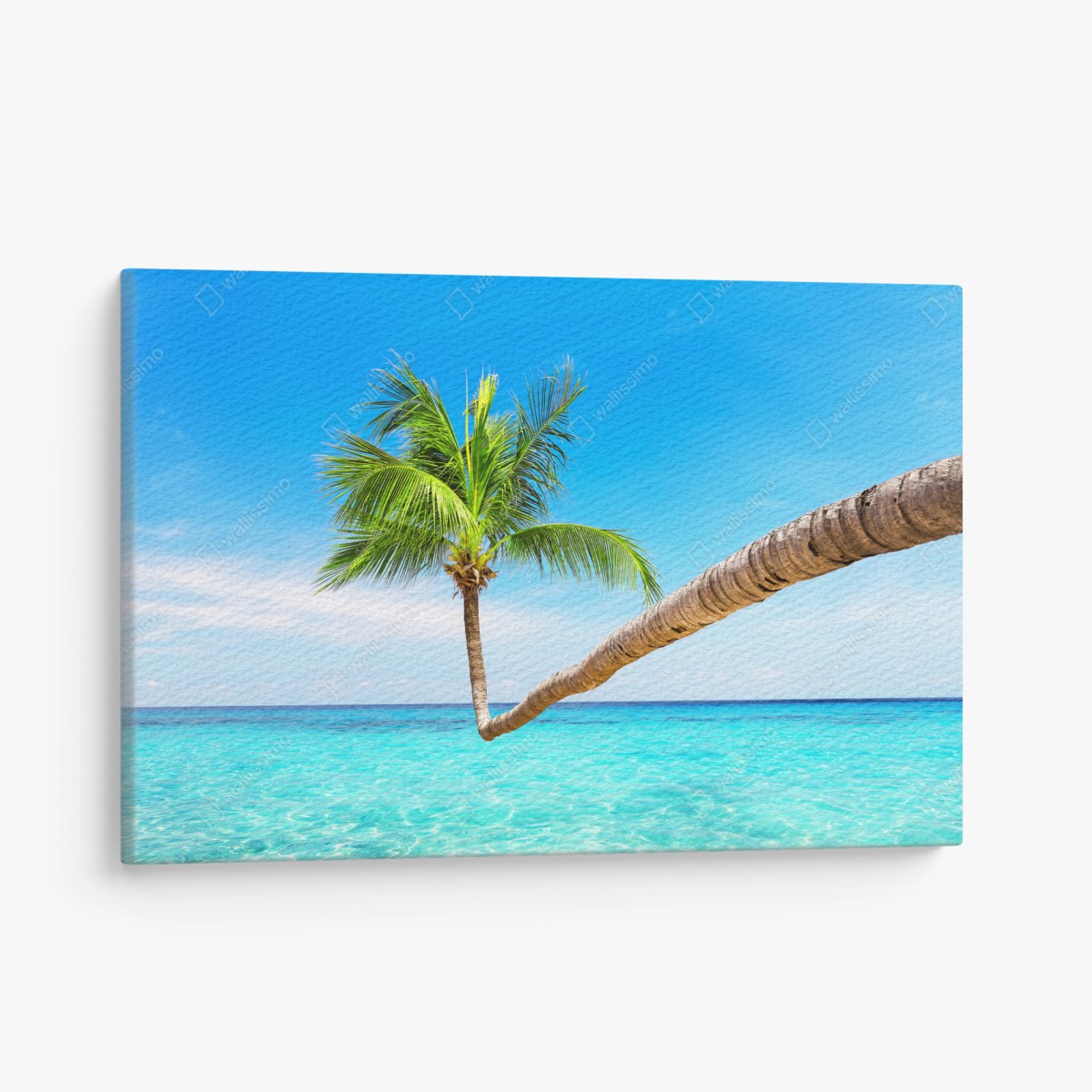 Quadro su tela oasi tropicale a Punta Cana • Wallissimo®