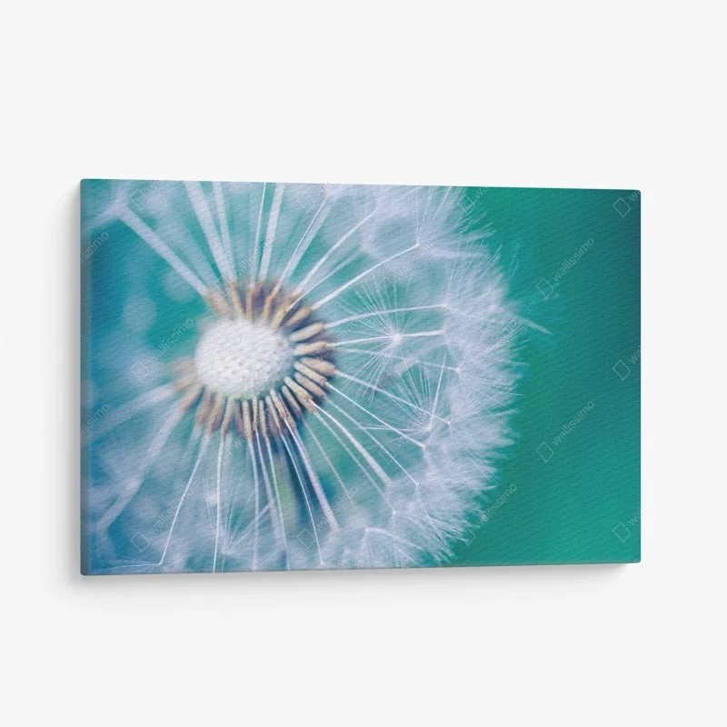 Quadro su tela soffione di tarassaco in macro