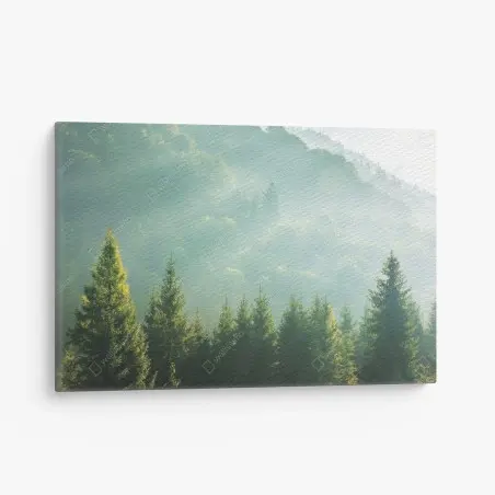 Quadro su tela alba tra gli abeti nella nebbia • Wallissimo®