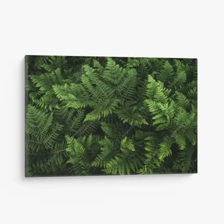 Quadro su tela tappeto di felci verdi • Wallissimo®