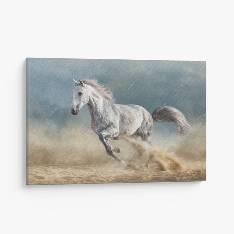 Quadro su tela cavallo grigio in corsa su sfondo drammatico