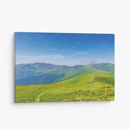 Quadro su tela sentiero sulle colline di Borzhava • Wallissimo®