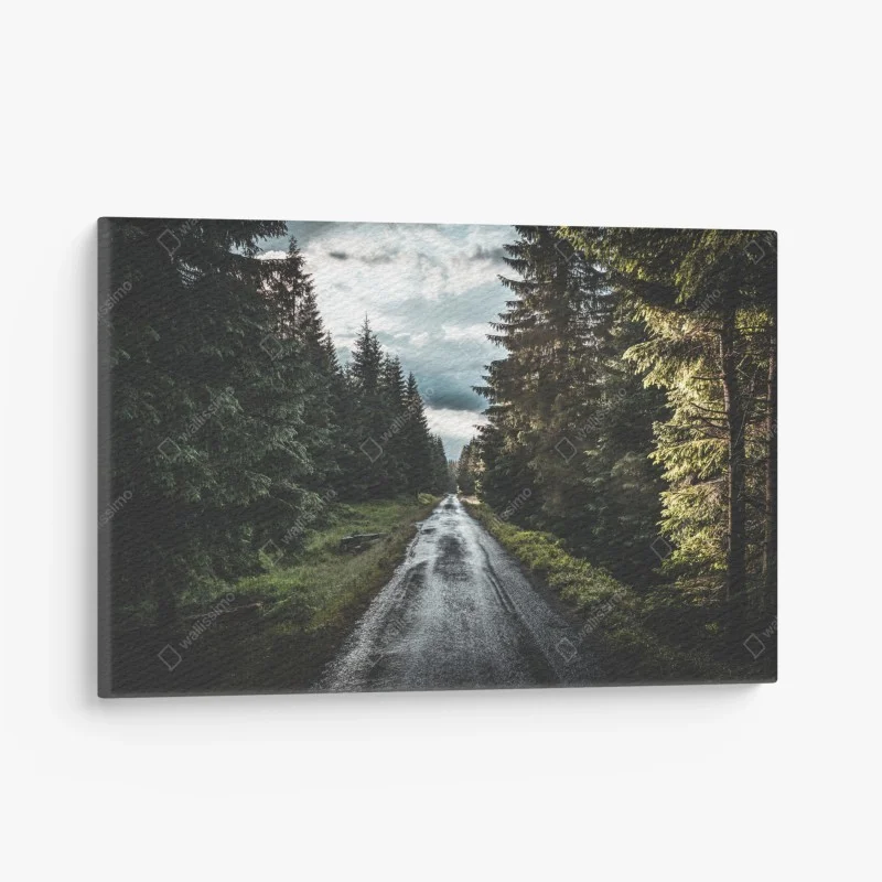 Quadro su tela strada nella foresta al crepuscolo