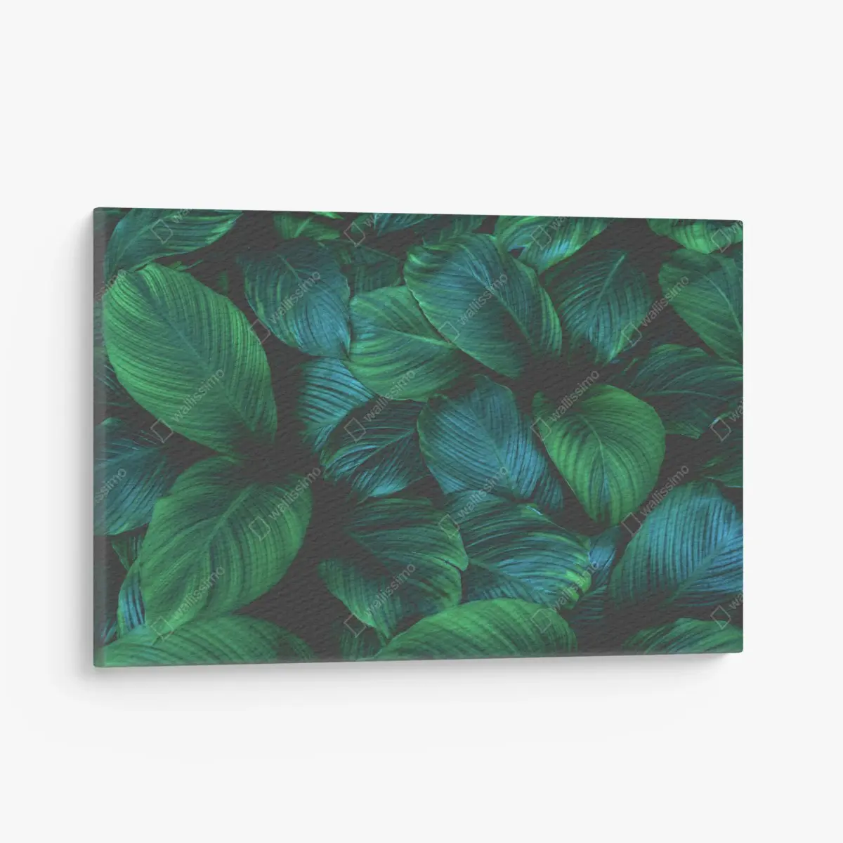 Quadro su tela oasi di foglie tropicali • Wallissimo®