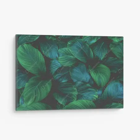 Quadro su tela oasi di foglie tropicali • Wallissimo®