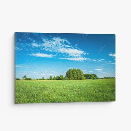 Quadro su tela prateria verde sotto cielo azzurro • Wallissimo®